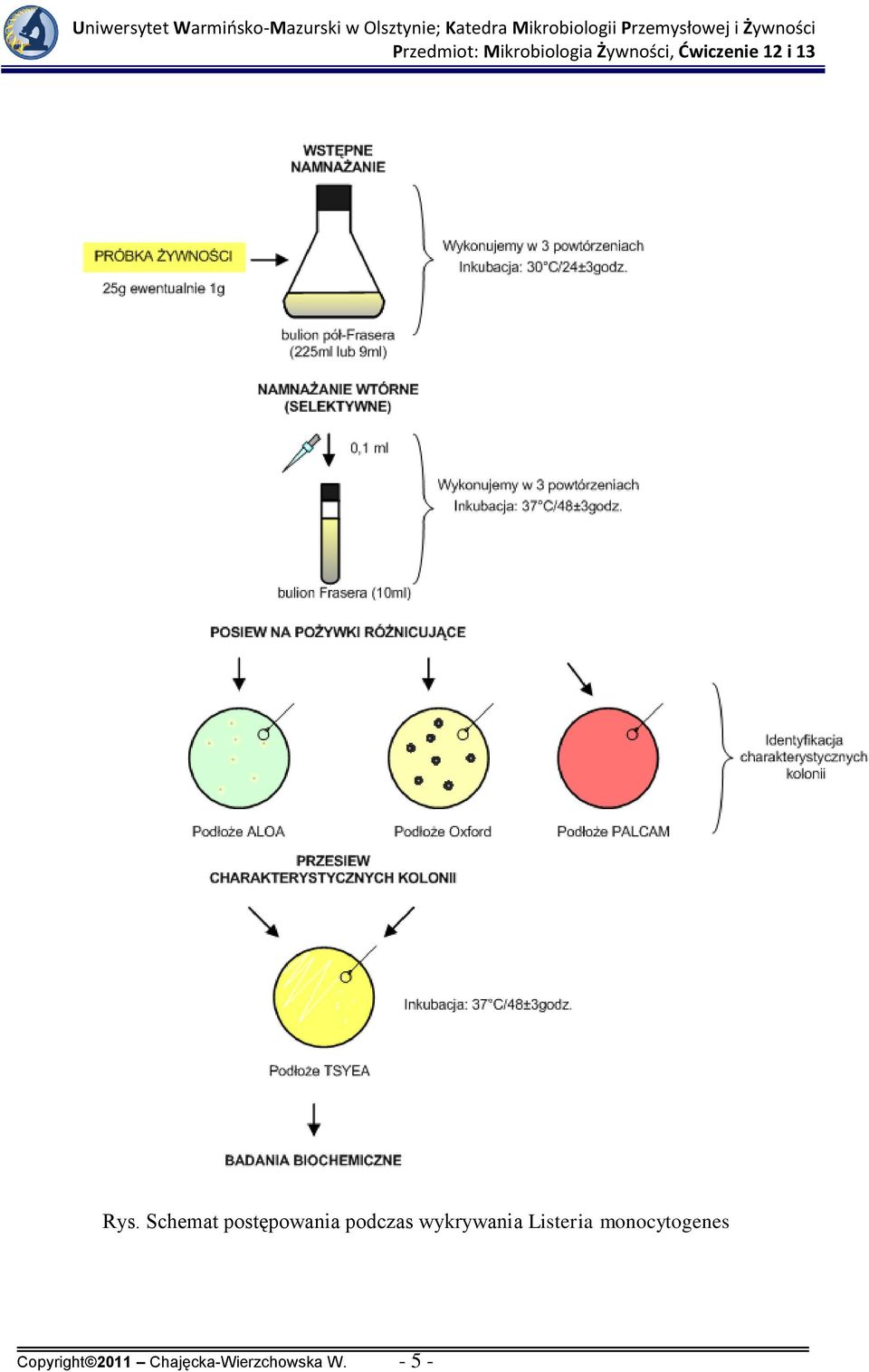 monocytogenes Copyright 2011