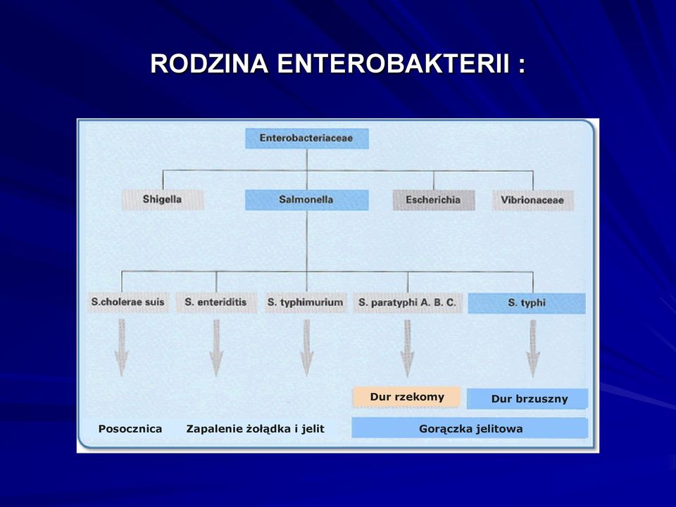 Posocznica Zapalenie