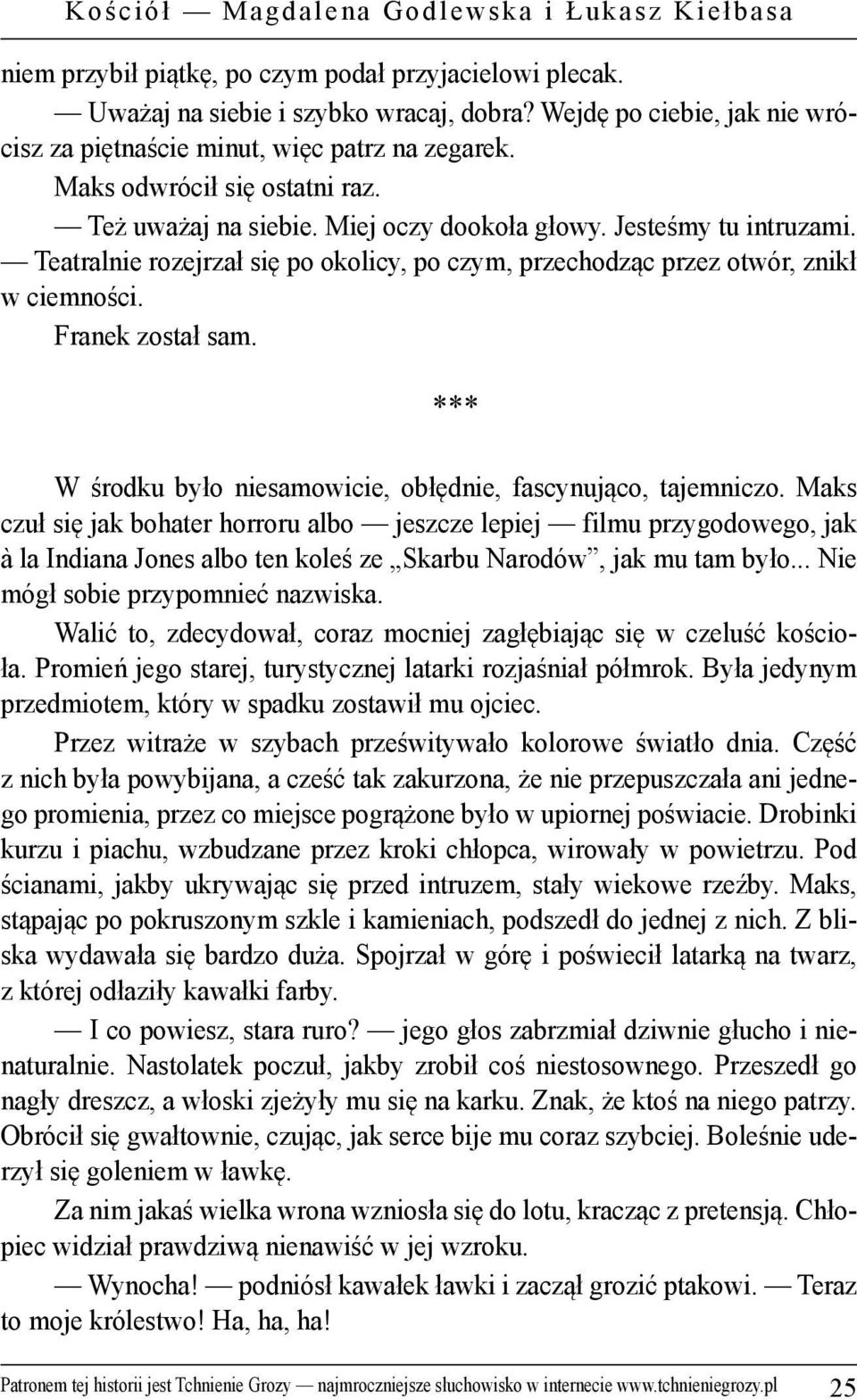 Teatralnie rozejrzał się po okolicy, po czym, przechodząc przez otwór, znikł w ciemności. Franek został sam. W środku było niesamowicie, obłędnie, fascynująco, tajemniczo.