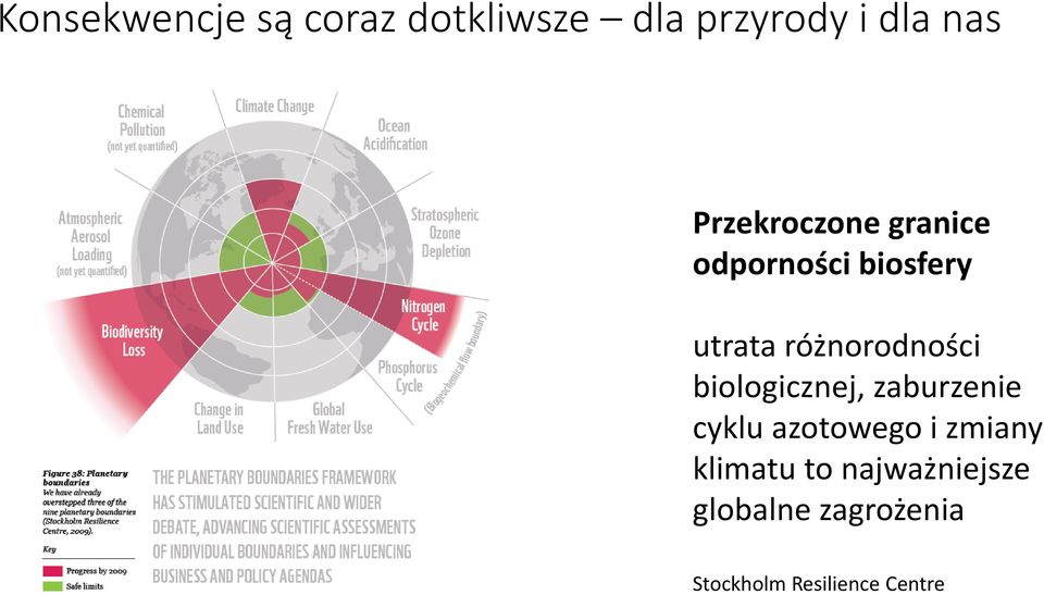 różnorodności biologicznej, zaburzenie cyklu azotowego i