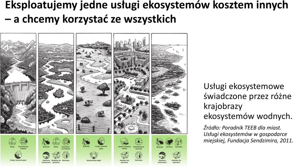 różne krajobrazy ekosystemów wodnych.