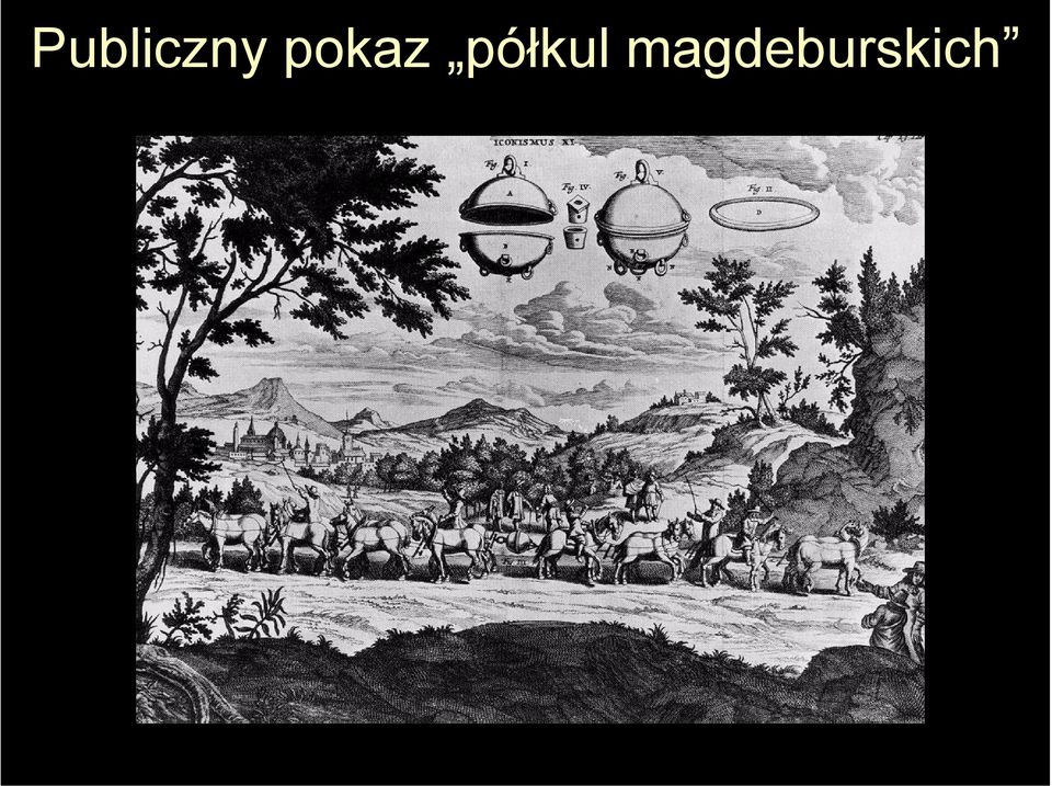 półkul