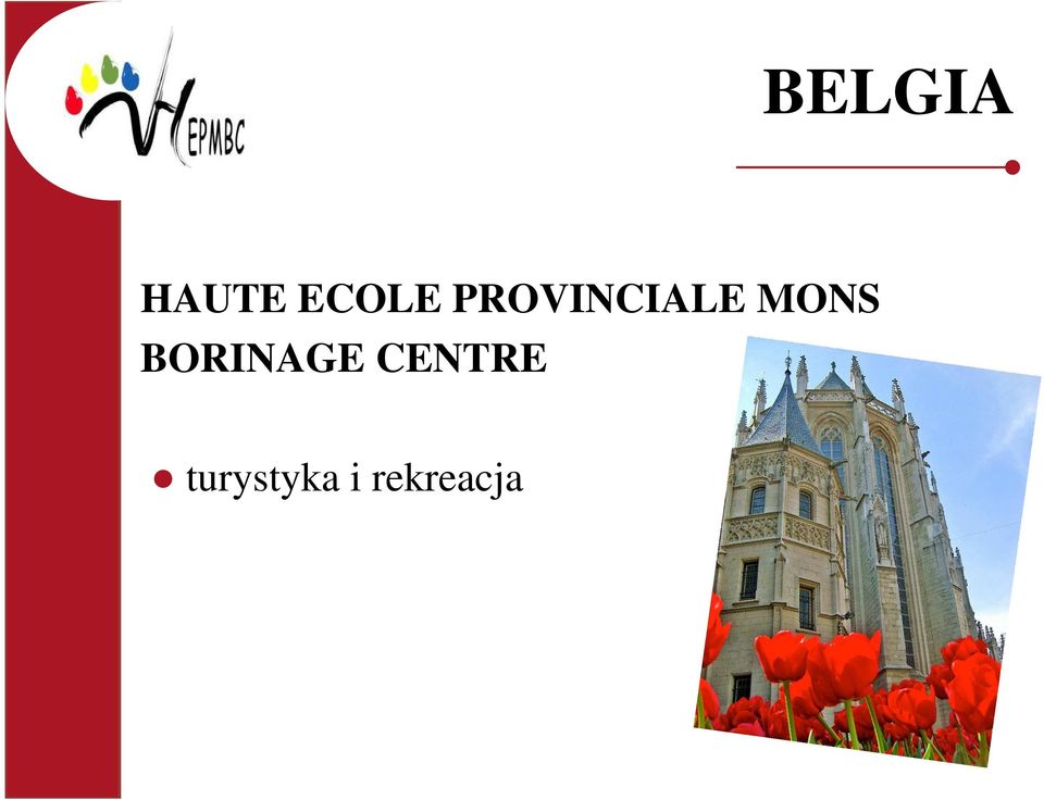 BORINAGE CENTRE