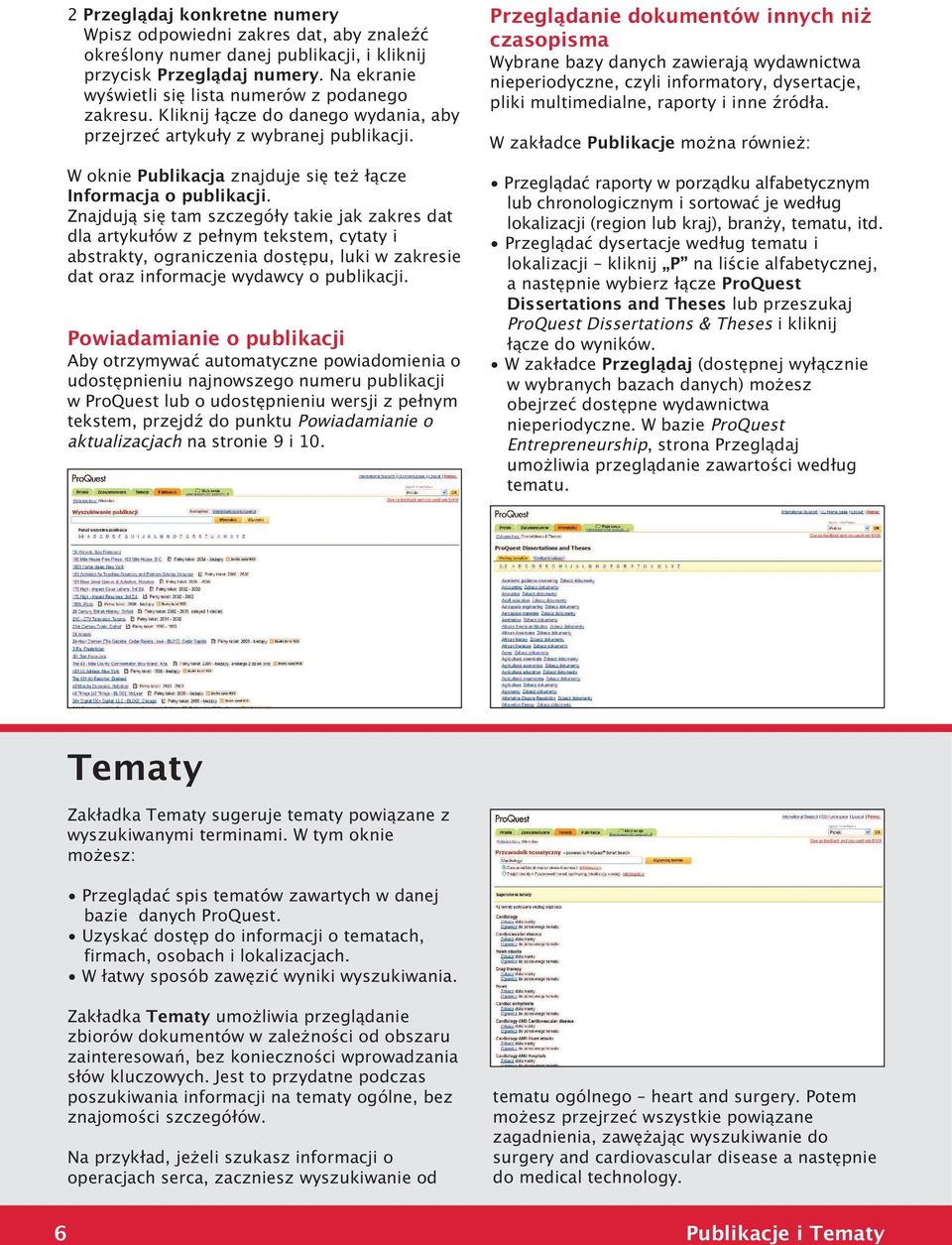 W oknie Publikacja znajduje się te łącze Informacja o publikacji.