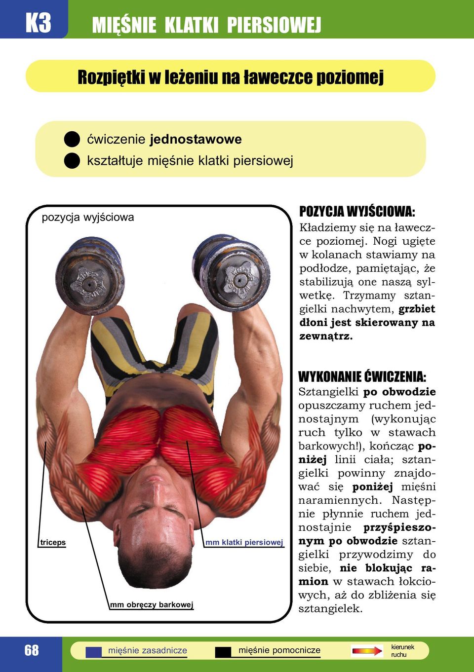 triceps mm obręczy barkowej mm klatki piersiowej WYKONANIE ĆWICZENIA: Sztangielki po obwodzie opuszczamy ruchem jednostajnym (wykonując ruch tylko w stawach barkowych!