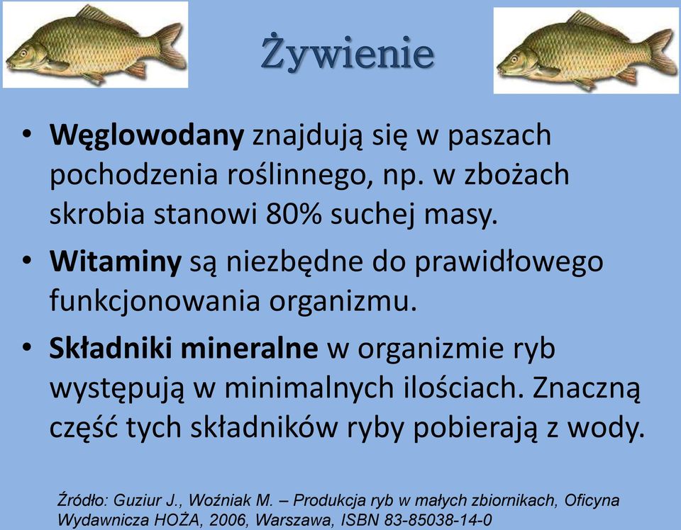 Składniki mineralne w organizmie ryb występują w minimalnych ilościach.