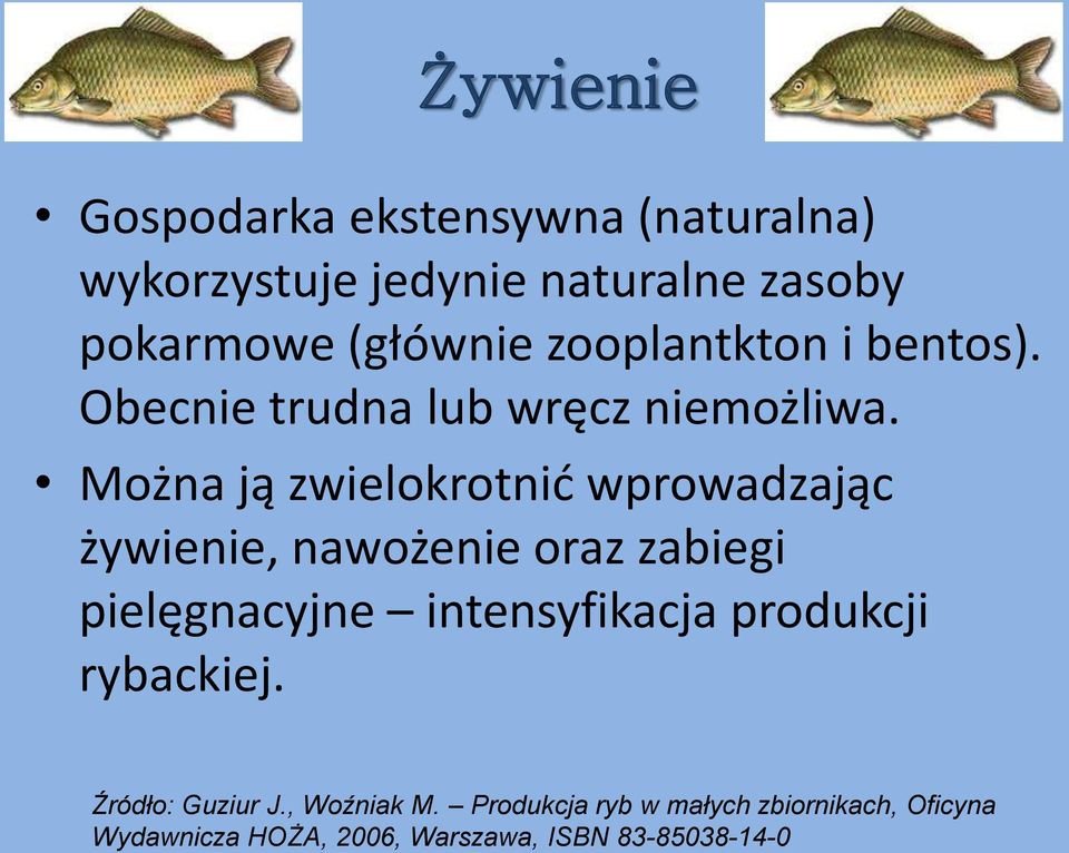 Można ją zwielokrotnić wprowadzając żywienie, nawożenie oraz zabiegi pielęgnacyjne intensyfikacja