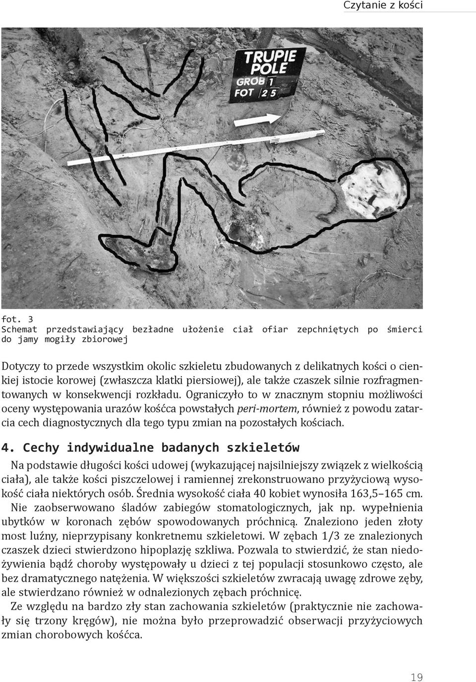 korowej (zwłaszcza klatki piersiowej), ale także czaszek silnie rozfragmentowanych w konsekwencji rozkładu.