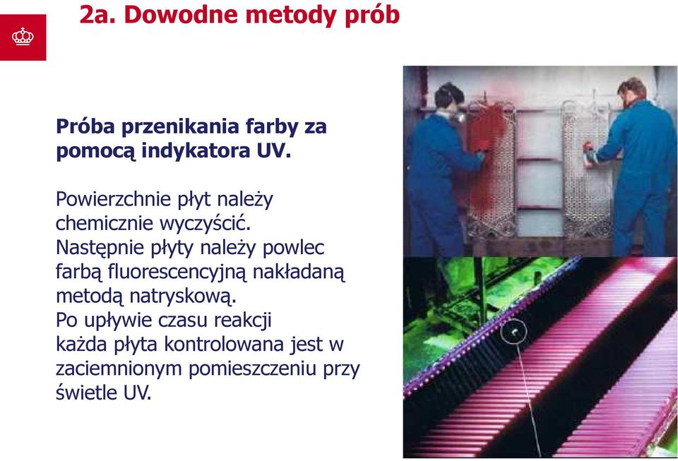 Następnie płyty należy powlec farbą fluorescencyjną nakładaną metodą