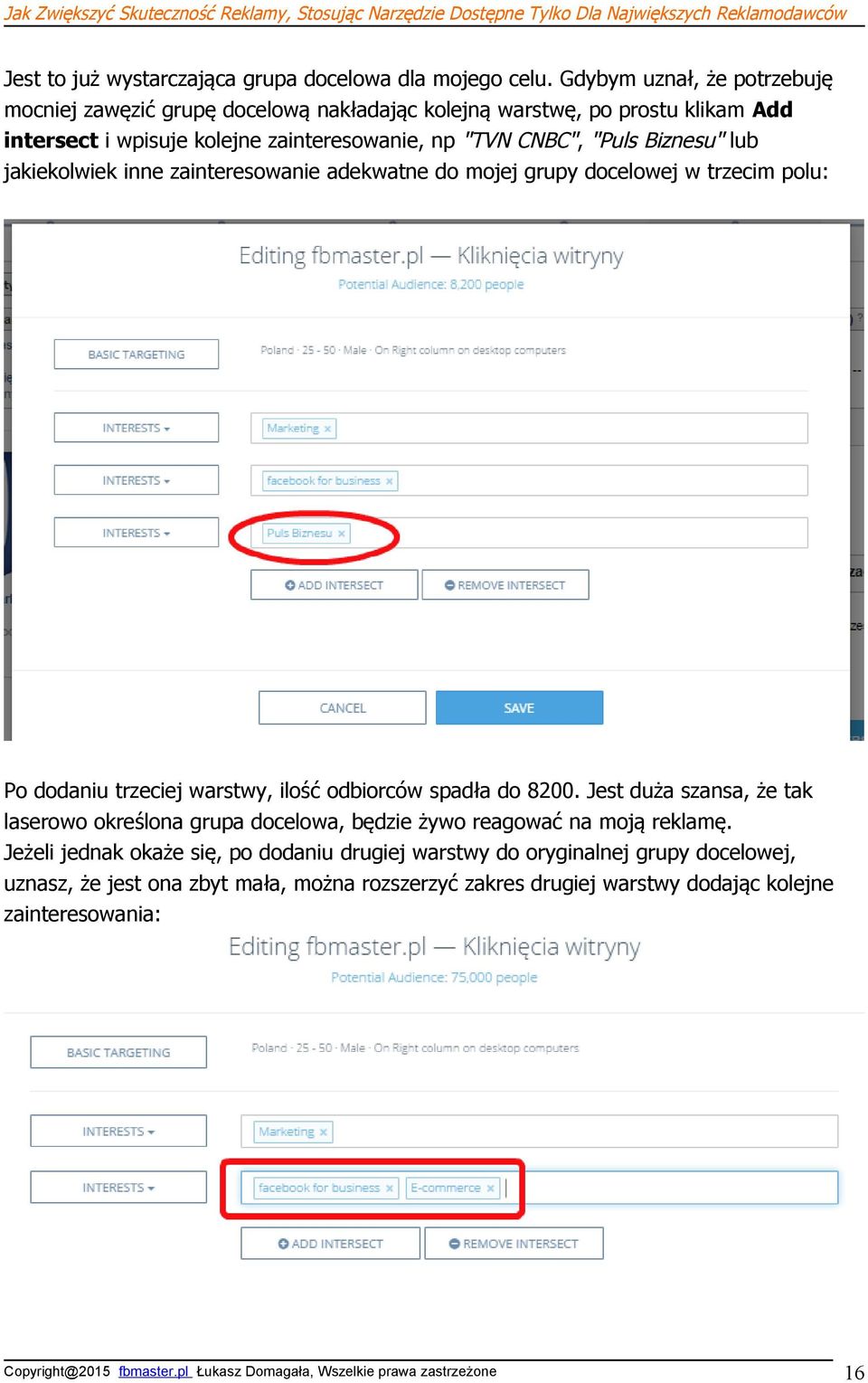 "Puls Biznesu" lub jakiekolwiek inne zainteresowanie adekwatne do mojej grupy docelowej w trzecim polu: Po dodaniu trzeciej warstwy, ilość odbiorców spadła do 8200.