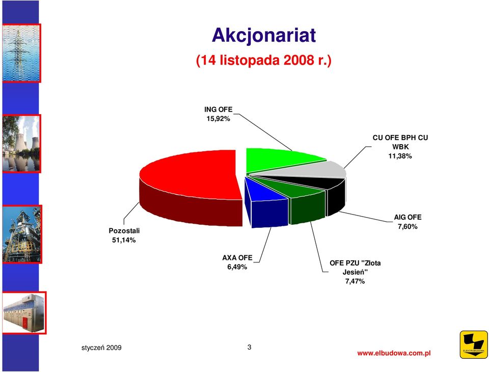 11,38% Pozostali 51,14% AIG OFE 7,60%