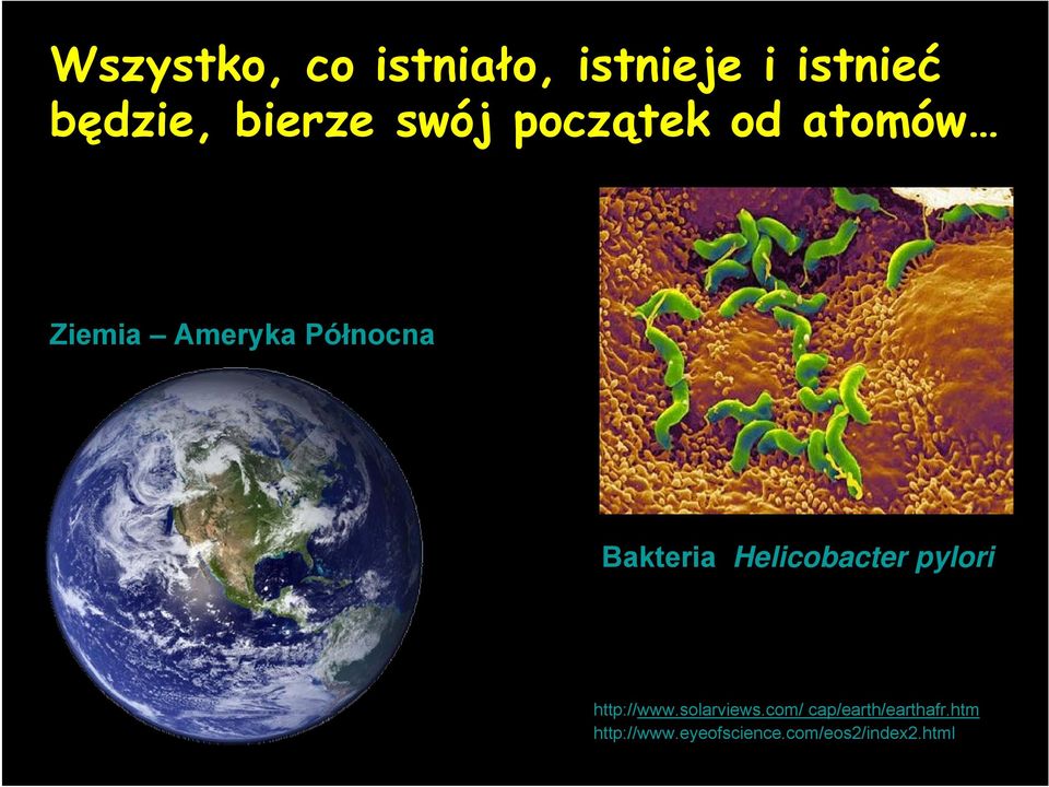 Helicobacter pylori http://www.solarviews.