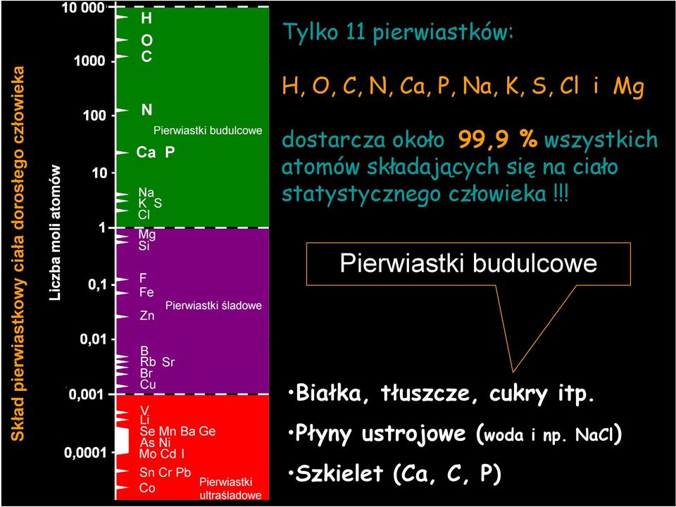 składających się na ciało statystycznego człowieka!