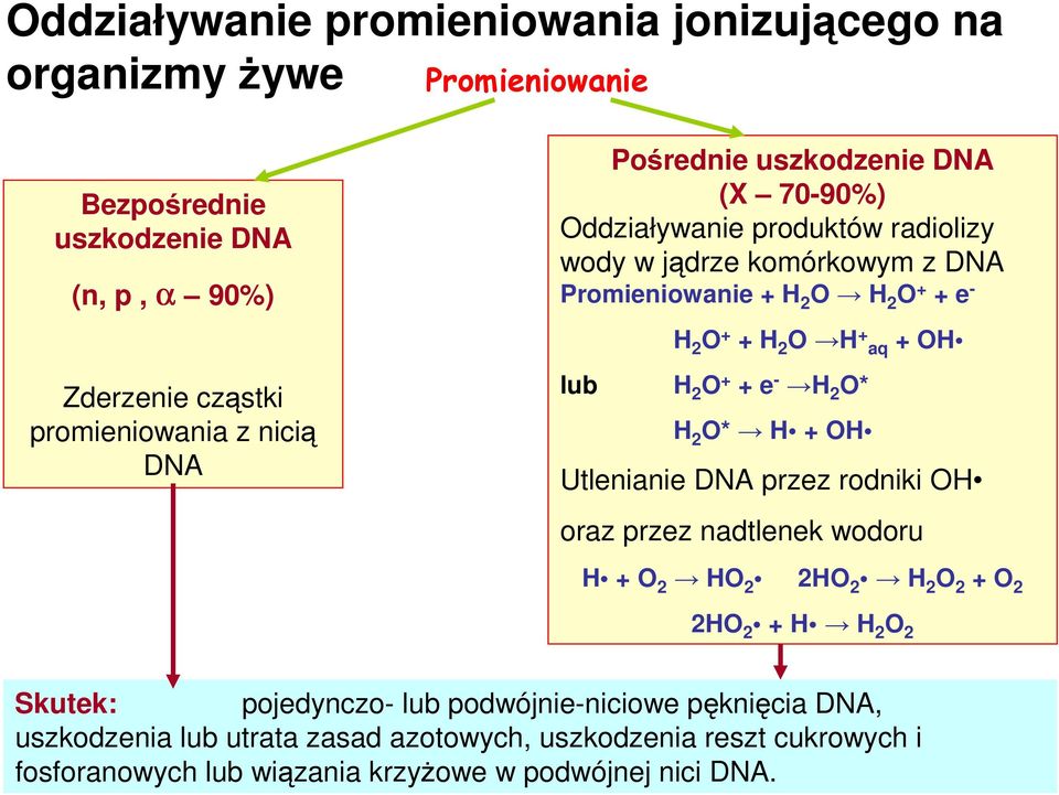 OH lub H 2 O + + e - H 2 O* H 2 O* H + OH Utlenianie DNA przez rodniki OH oraz przez nadtlenek wodoru H + O 2 HO 2 2HO 2 H 2 O 2 + O 2 2HO 2 + H H 2 O 2 Skutek: