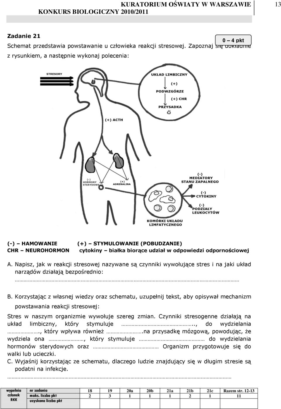 Napisz, jak w reakcji stresowej nazywane są czynniki wywołujące stres i na jaki układ narządów działają bezpośrednio: B.