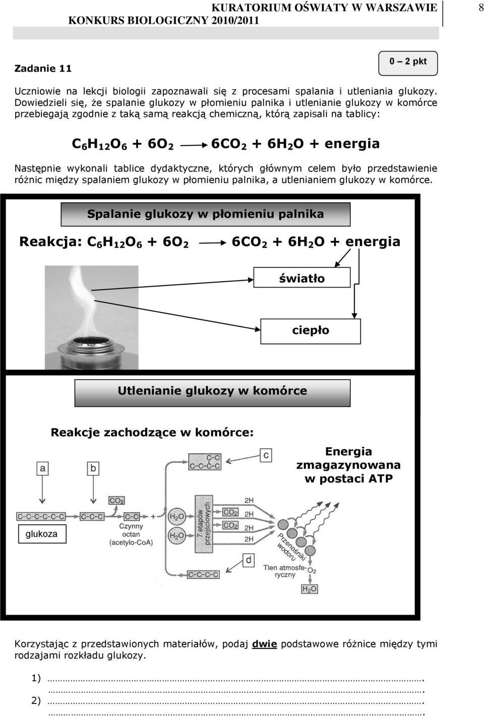 O + energia Następnie wykonali tablice dydaktyczne, których głównym celem było przedstawienie różnic między spalaniem glukozy w płomieniu palnika, a utlenianiem glukozy w komórce.