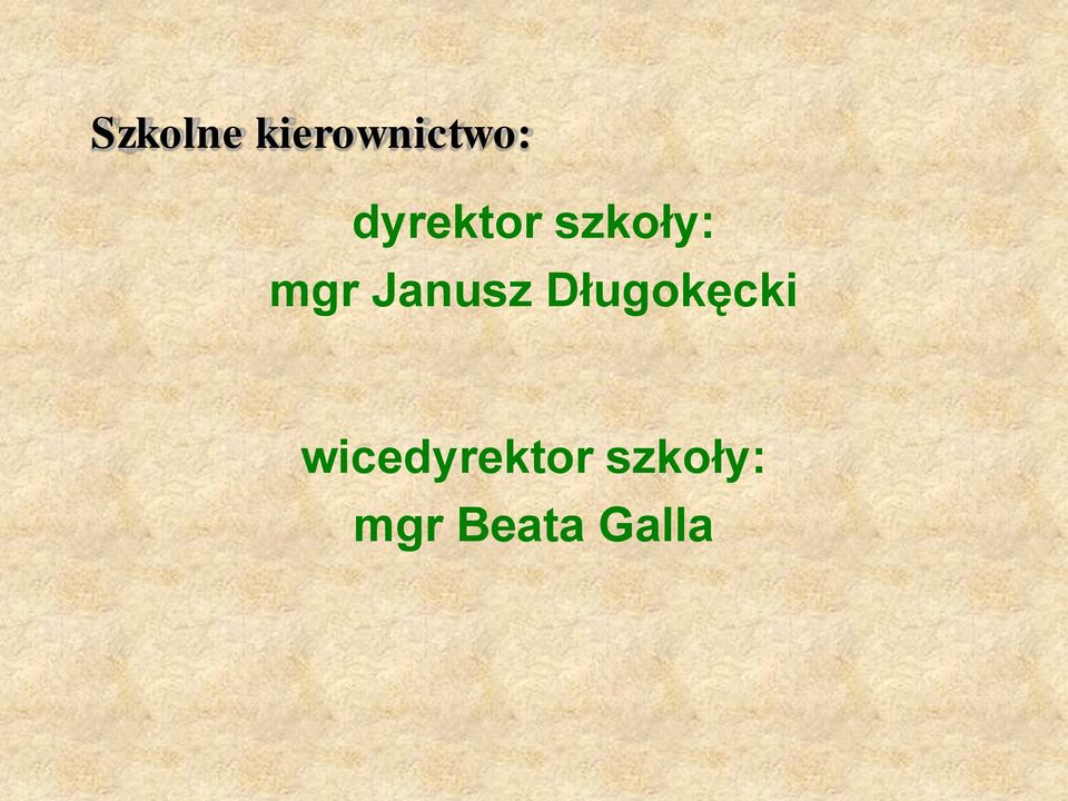 Janusz Długokęcki wice