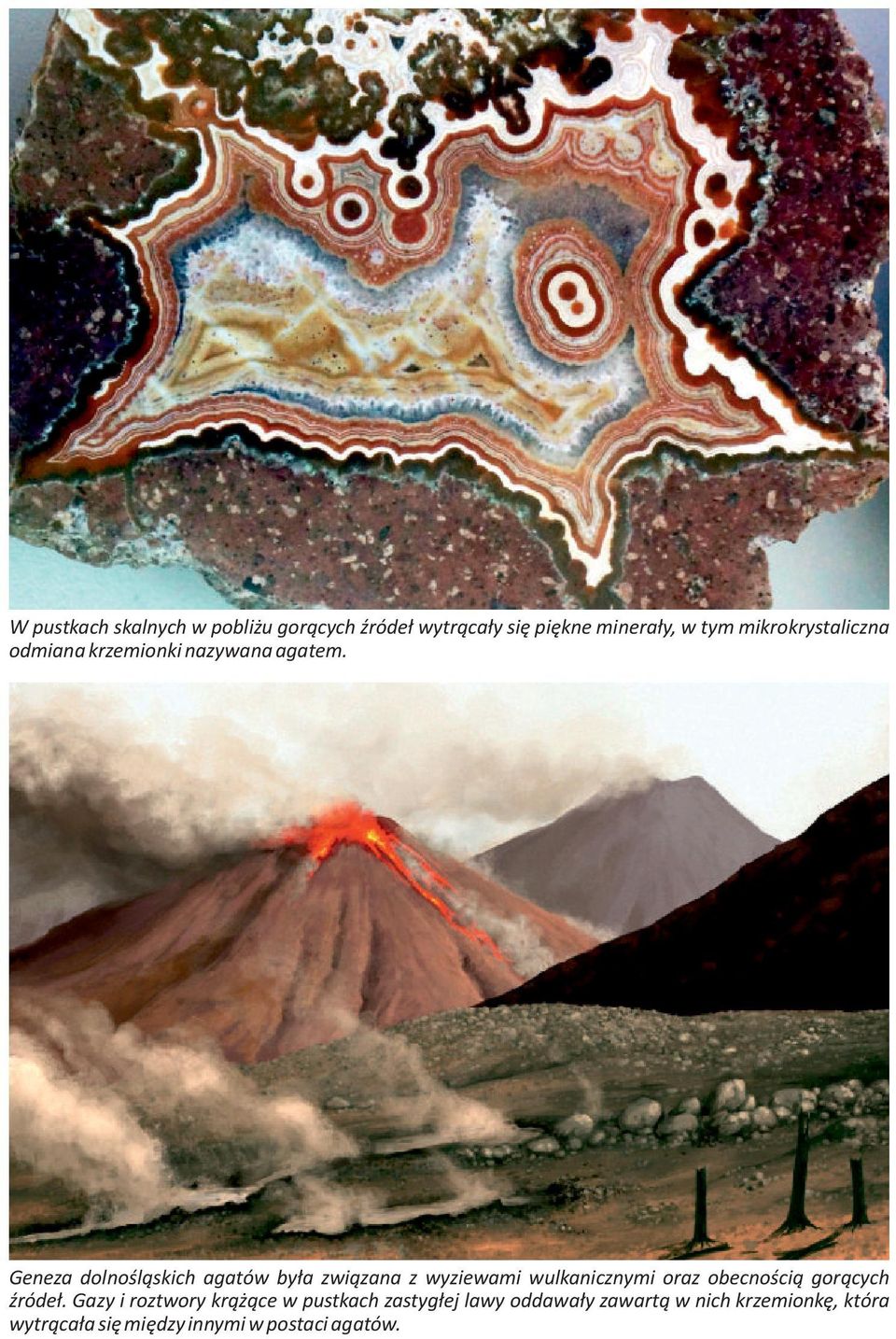 Geneza dolnośląskich agatów była związana z wyziewami wulkanicznymi oraz obecnością gorących