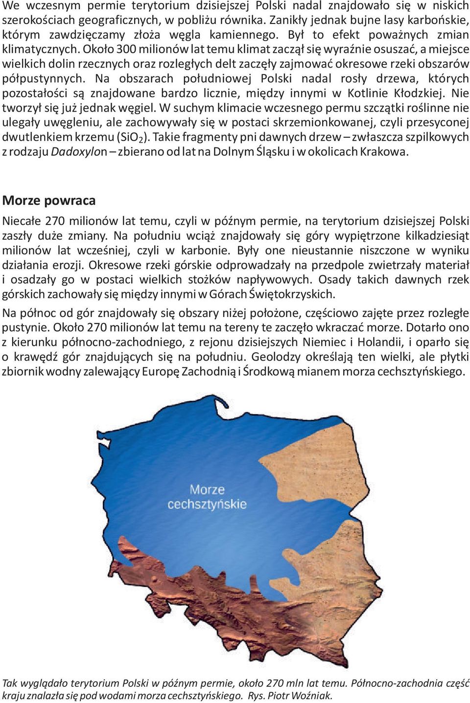 Około 300 milionów lat temu klimat zaczął się wyraźnie osuszać, a miejsce wielkich dolin rzecznych oraz rozległych delt zaczęły zajmować okresowe rzeki obszarów półpustynnych.