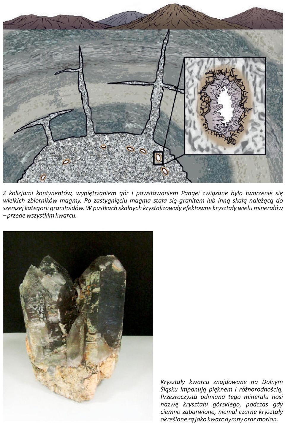 W pustkach skalnych krystalizowały efektowne kryształy wielu minerałów przede wszystkim kwarcu.