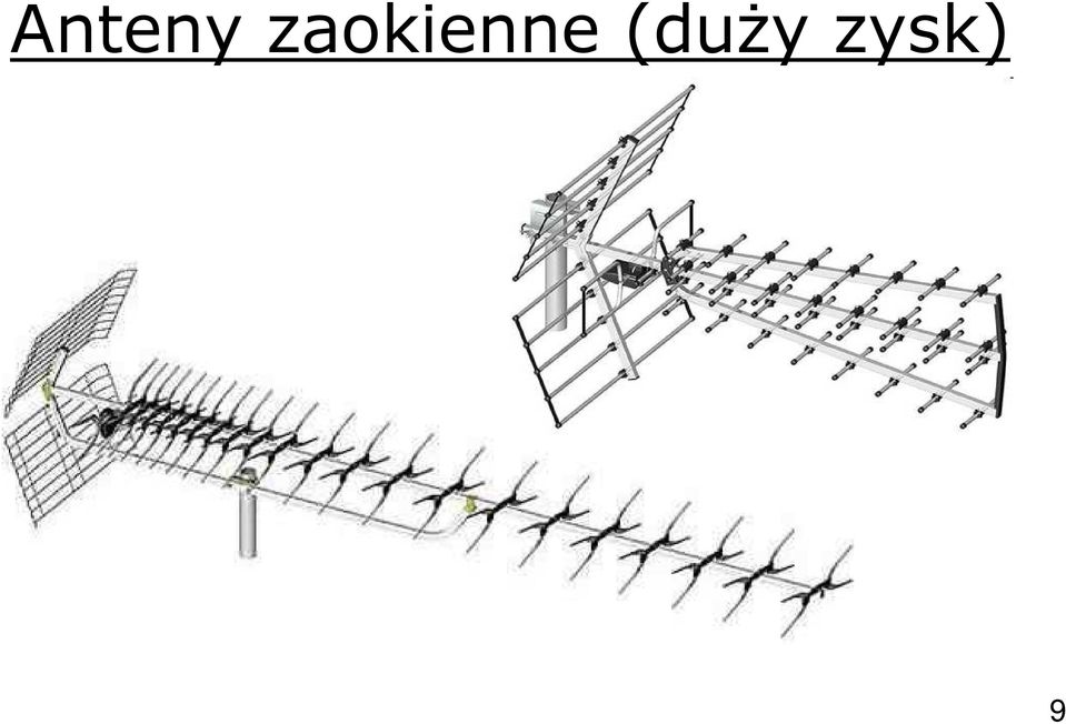 (duży