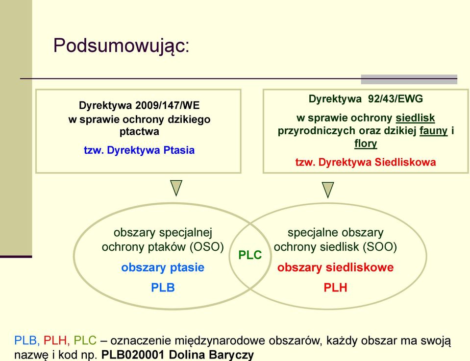 Dyrektywa Ptasia Dyrektywa 92/43/EWG w sprawie ochrony siedlisk przyrodniczych oraz dzikiej fauny i flory tzw.