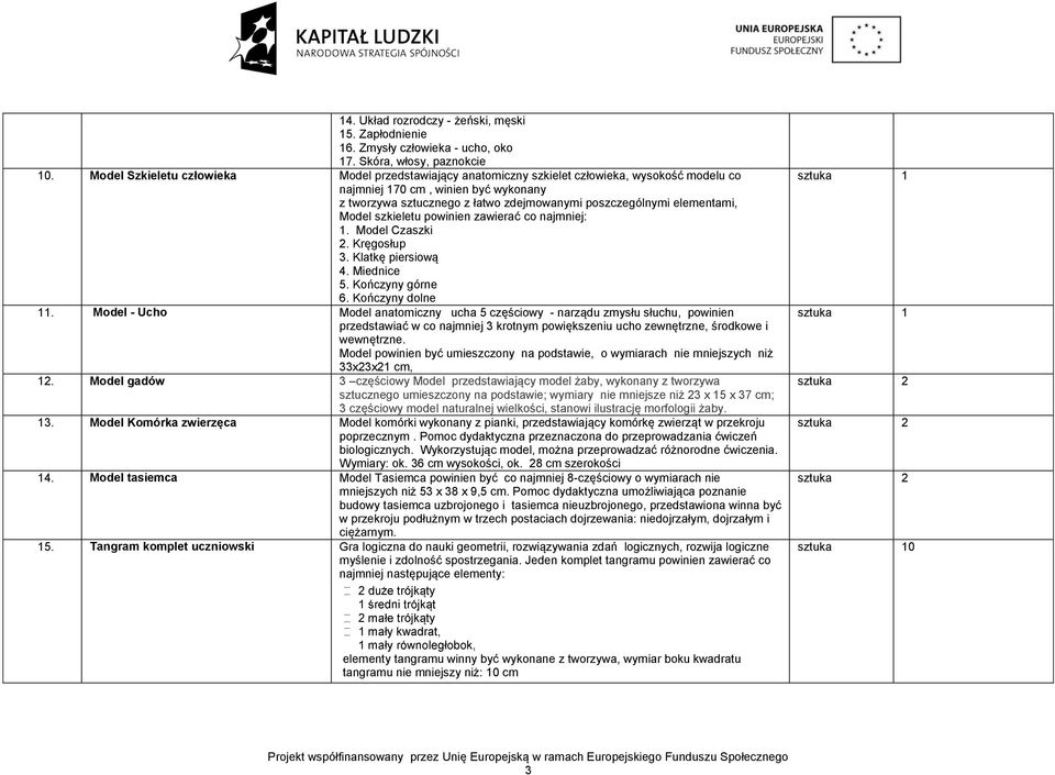 elementami, Model szkieletu powinien zawierać co najmniej: 1. Model Czaszki 2. Kręgosłup 3. Klatkę piersiową 4. Miednice 5. Kończyny górne 6. Kończyny dolne 11.