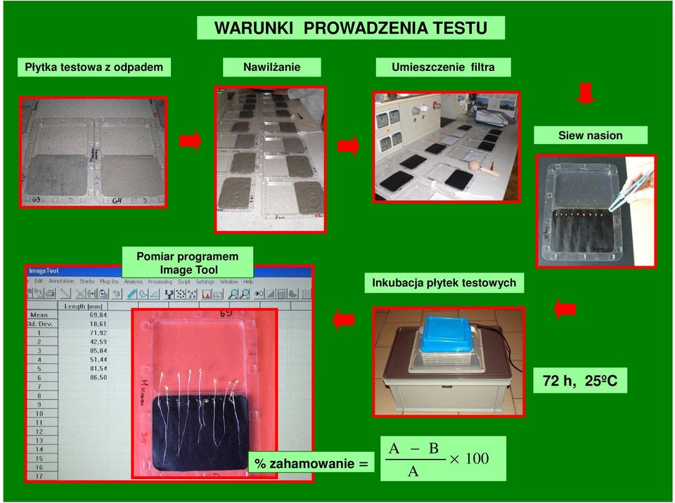 nasion Pomiar programem Image Tool Inkubacja