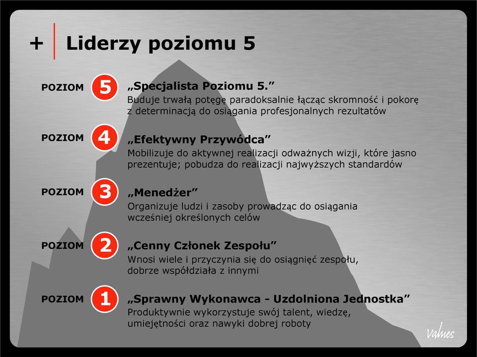 realizacji odważnych wizji, które jasno prezentuje; pobudza do realizacji najwyższych standardów Menedżer Organizuje ludzi i zasoby prowadząc do osiągania wcześniej