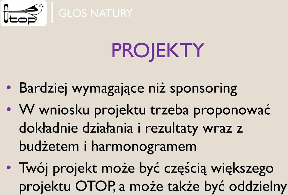 rezultaty wraz z budżetem i harmonogramem Twój projekt