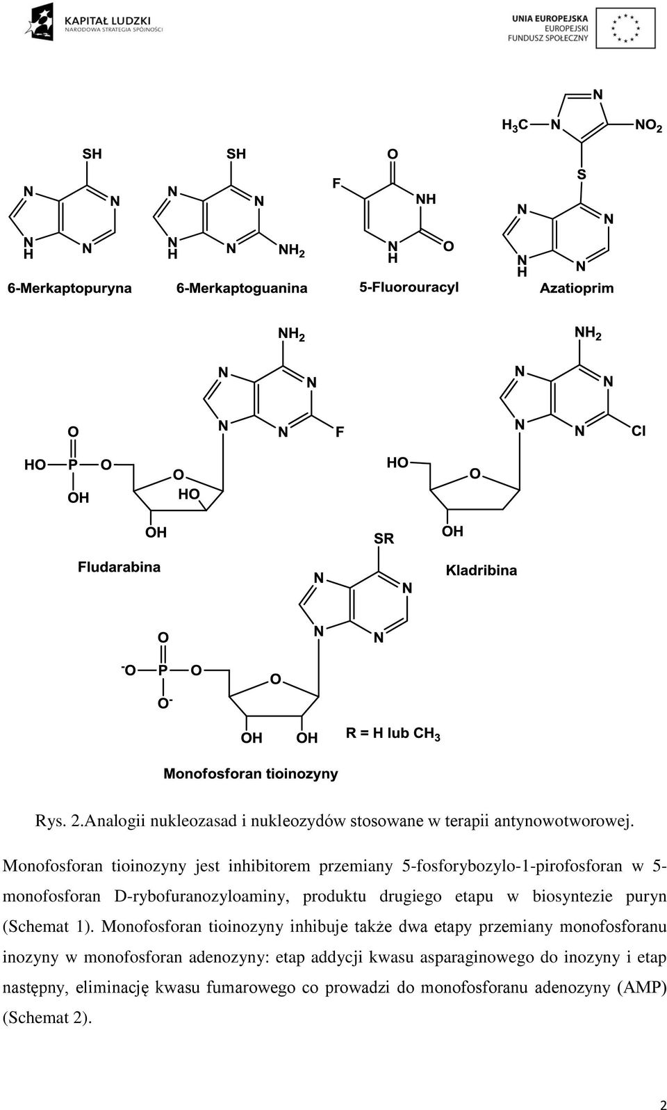 produktu drugiego etapu w biosyntezie puryn (Schemat 1).