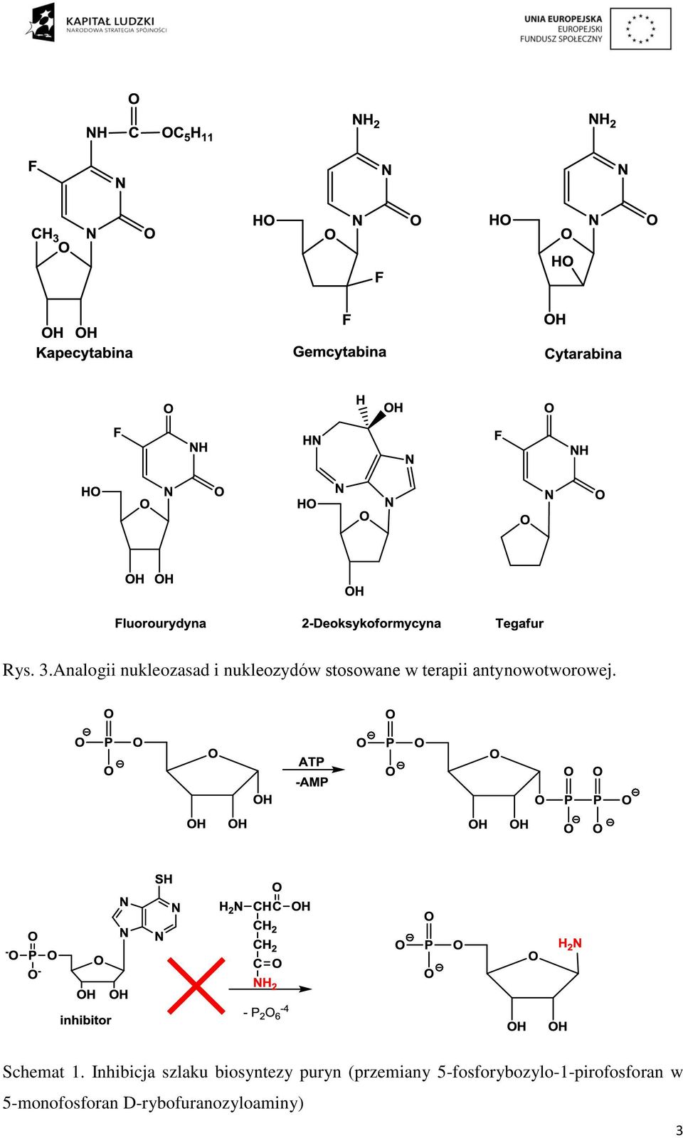 terapii antynowotworowej. Schemat 1.