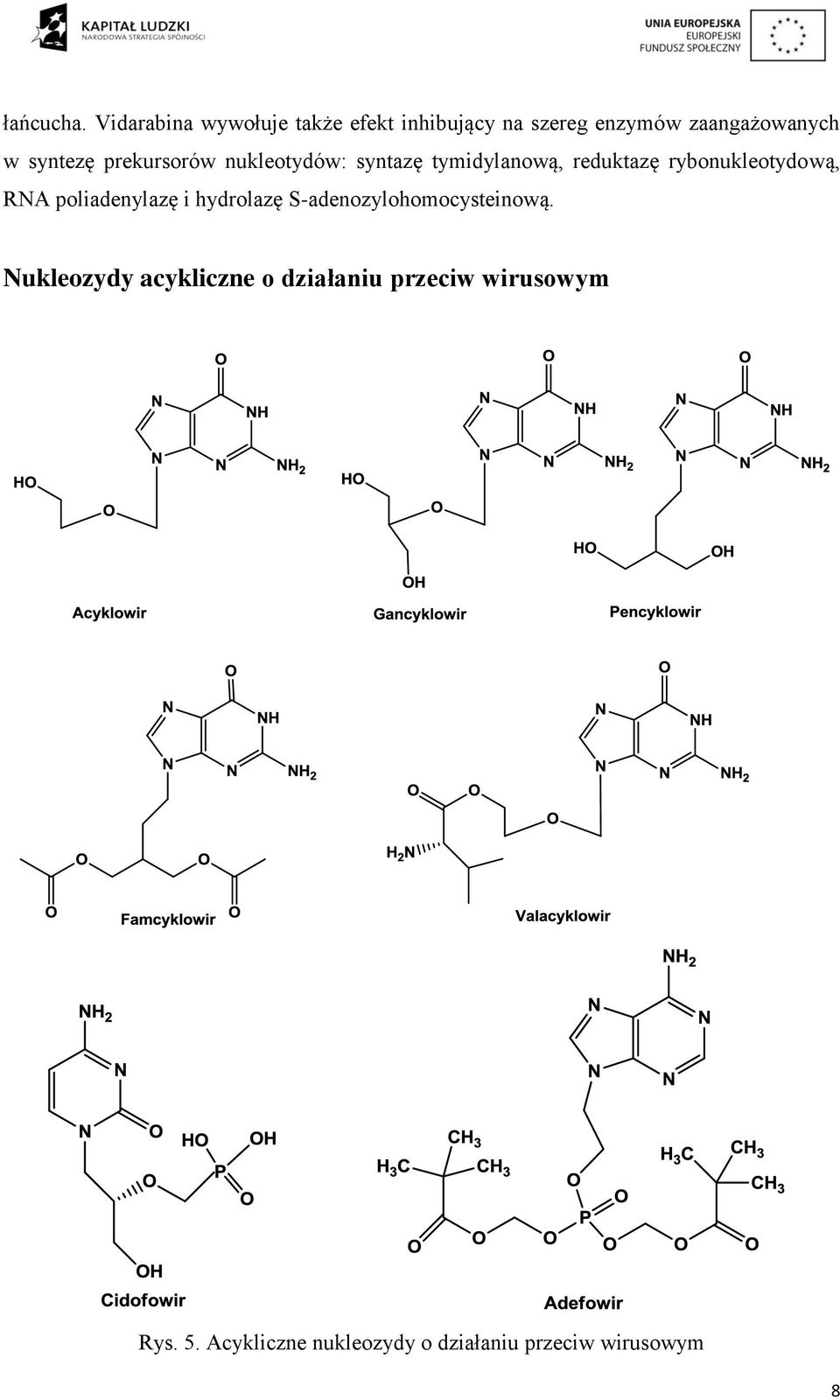 prekursorów nukleotydów: syntazę tymidylanową, reduktazę rybonukleotydową, RNA