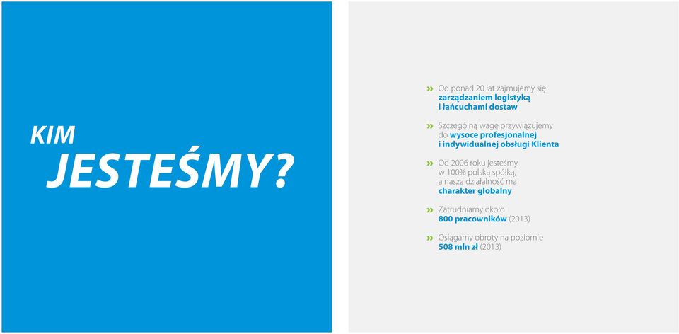 Od 2006 roku jesteśmy w 100% polską spółką, a nasza działalność ma charakter globalny
