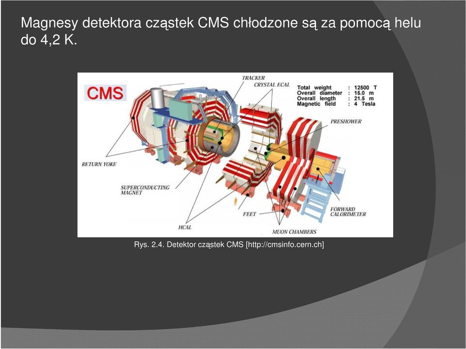 Detektor cząstek CMS [http://cmsinfo.cern.