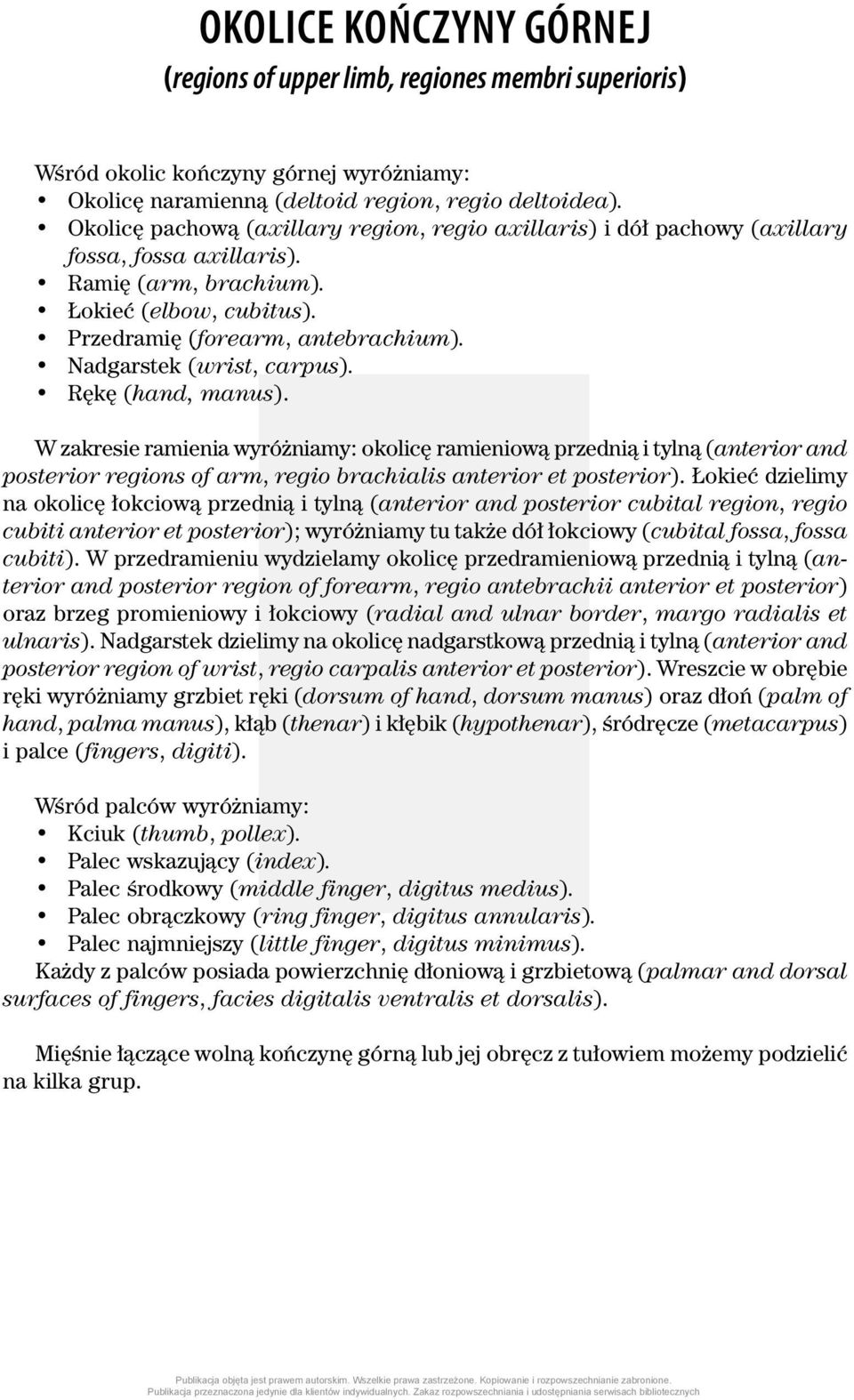 Nadgarstek (wrist, carpus). Rękę (hand, manus). W zakresie ramienia wyróżniamy: okolicę ramieniową przednią i tylną (anterior and posterior regions of arm, regio brachialis anterior et posterior).