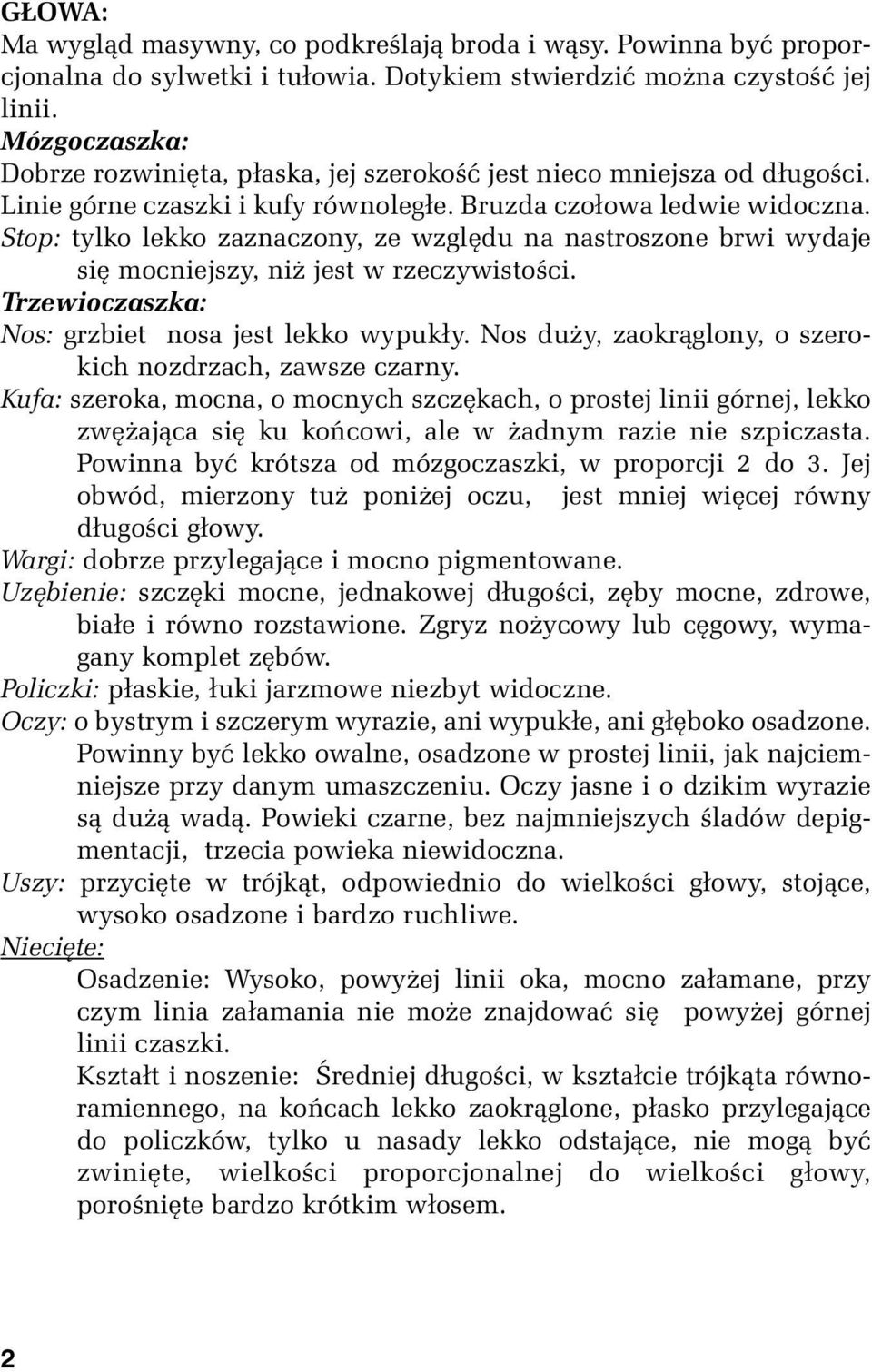 Stop: tylko lekko zaznaczony, ze względu na nastroszone brwi wydaje się mocniejszy, niż jest w rzeczywistości. Trzewioczaszka: Nos: grzbiet nosa jest lekko wypukły.