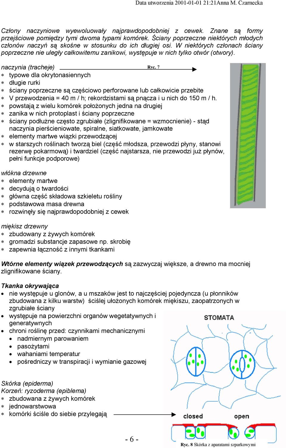 W niektórych członach ściany poprzeczne nie uległy całkowitemu zanikowi, występuje w nich tylko otwór (otwory). naczynia (tracheje) Ryc.