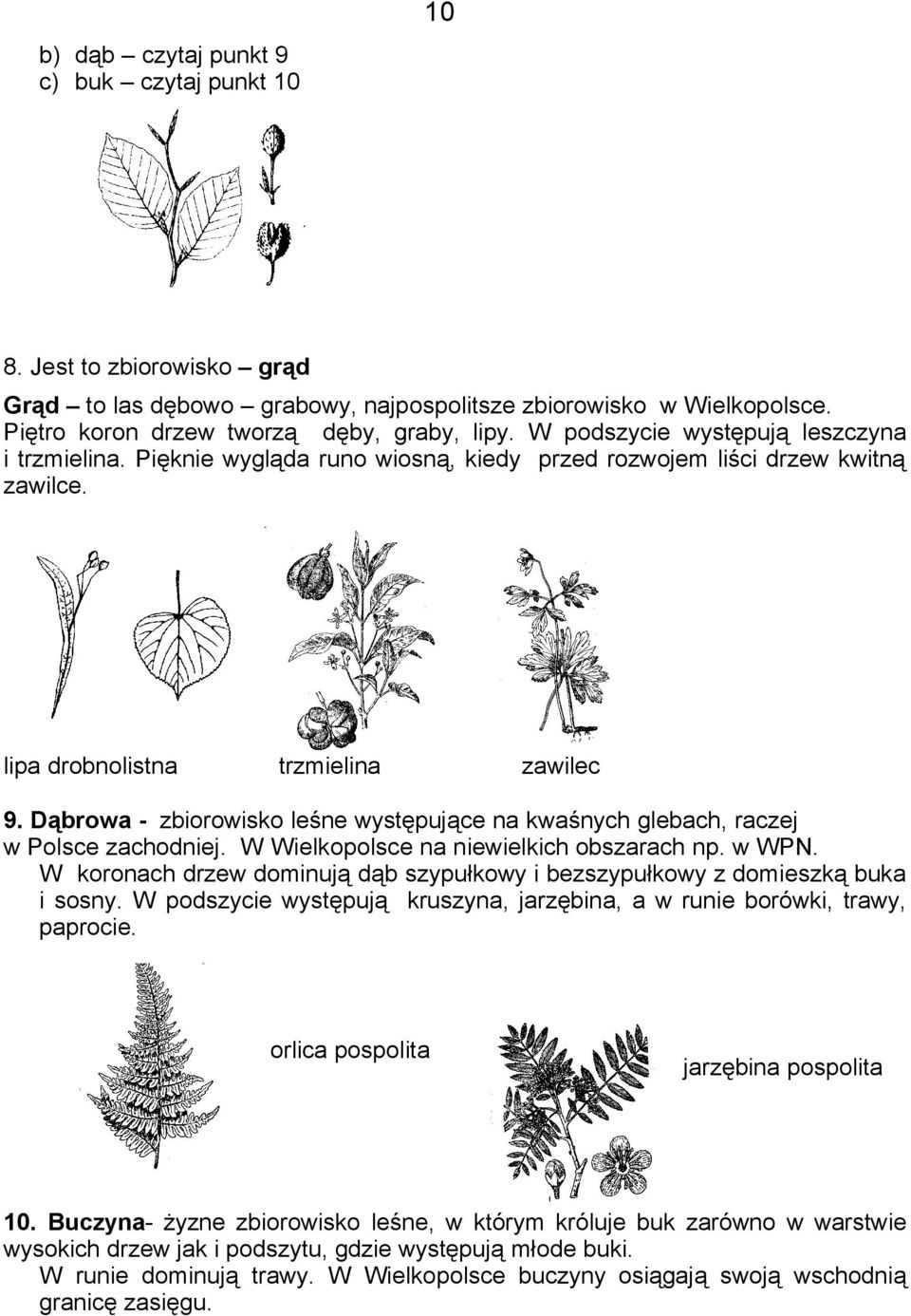 Dąbrowa - zbiorowisko leśne występujące na kwaśnych glebach, raczej w Polsce zachodniej. W Wielkopolsce na niewielkich obszarach np. w WPN.