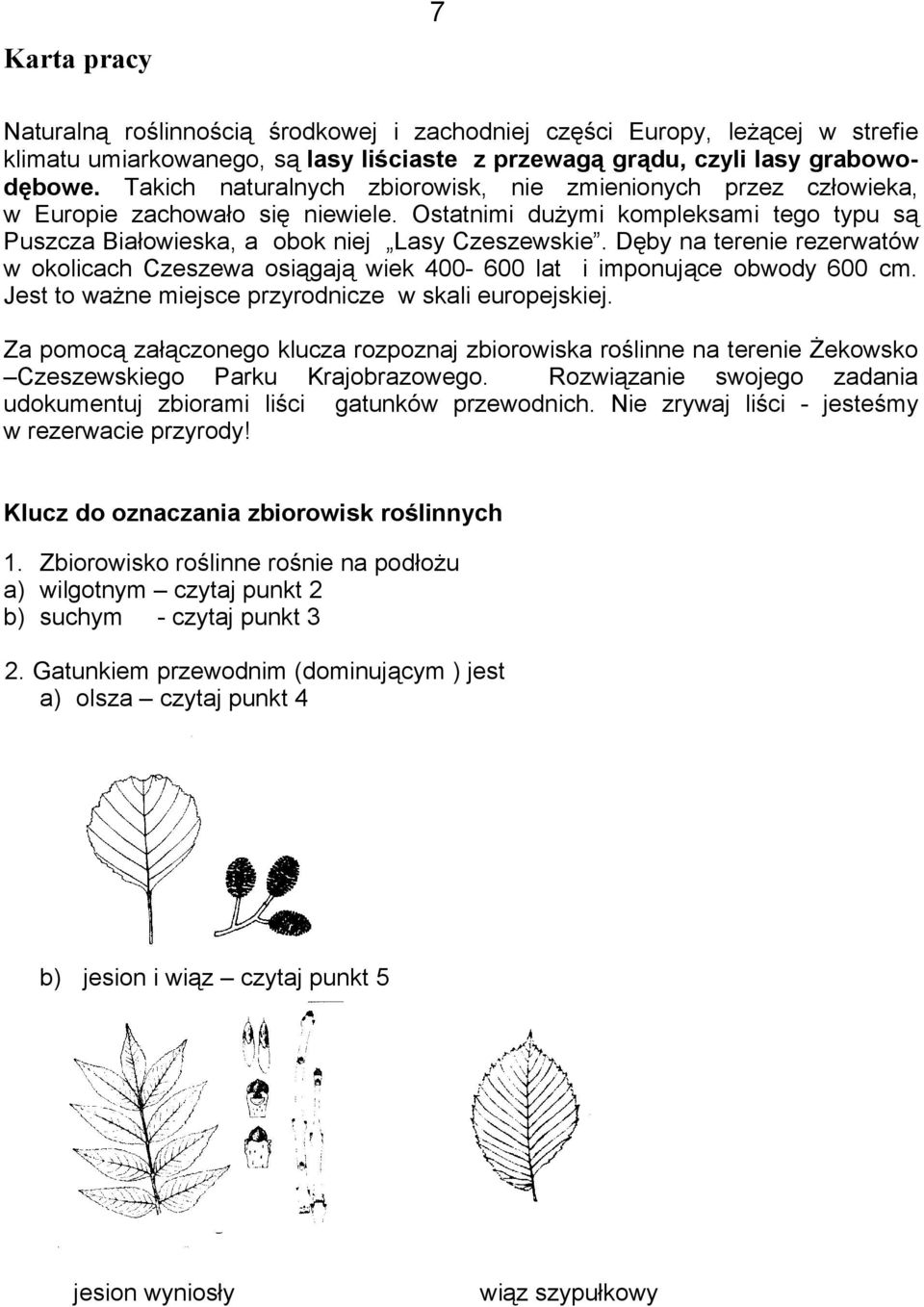 Dęby na terenie rezerwatów w okolicach Czeszewa osiągają wiek 400-600 lat i imponujące obwody 600 cm. Jest to ważne miejsce przyrodnicze w skali europejskiej.