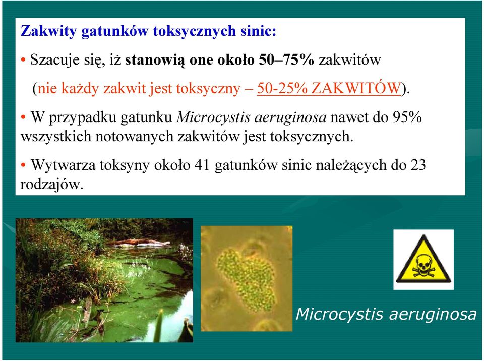 W przypadku gatunku Microcystis aeruginosa nawet do 95% wszystkich notowanych