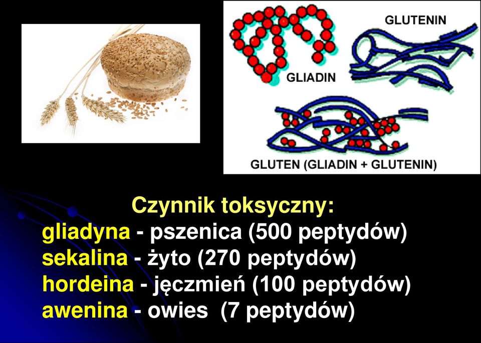 żyto (270 peptydów) hordeina -