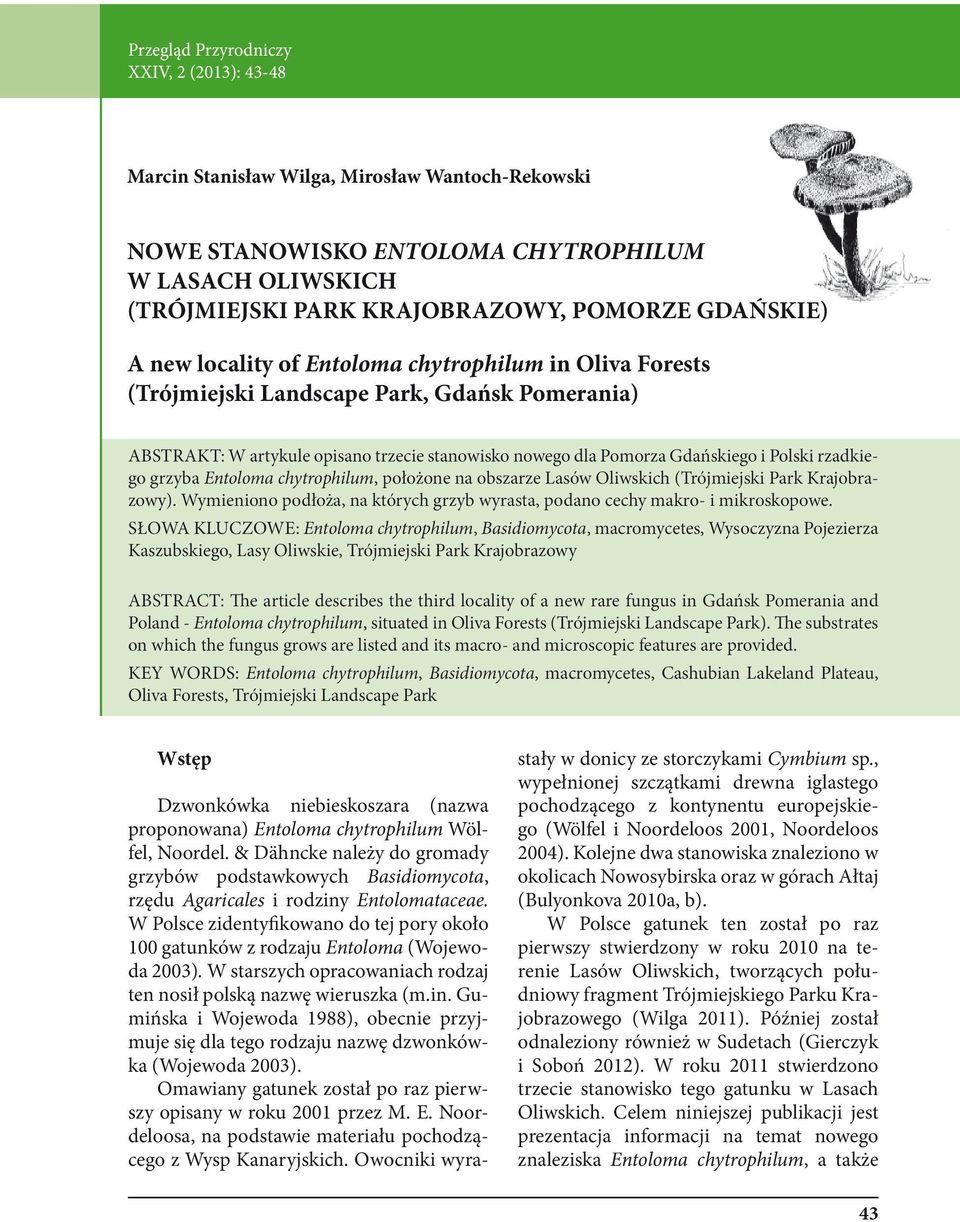 Polski rzadkiego grzyba Entoloma chytrophilum, położone na obszarze Lasów Oliwskich (Trójmiejski Park Krajobrazowy). Wymieniono podłoża, na których grzyb wyrasta, podano cechy makro- i mikroskopowe.