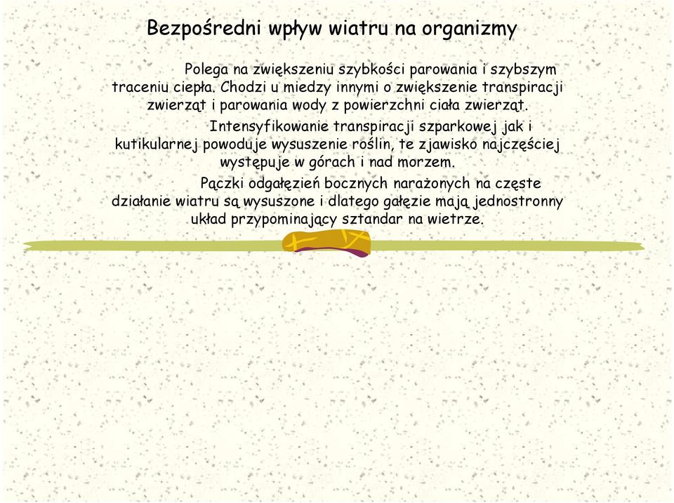 Intensyfikowanie transpiracji szparkowej jak i kutikularnej powoduje wysuszenie roślin, te zjawisko najczęściej występuje w