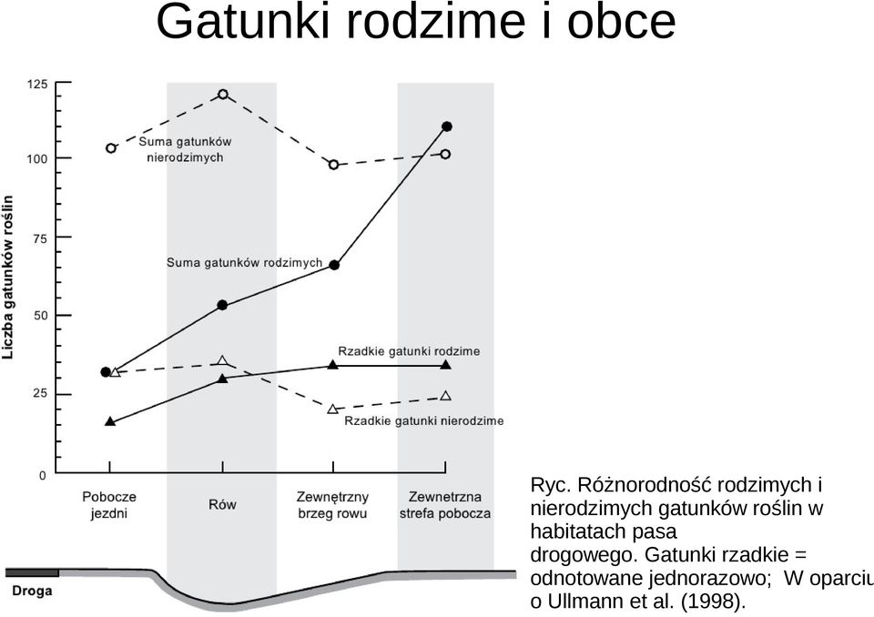 roślin w habitatach pasa drogowego.