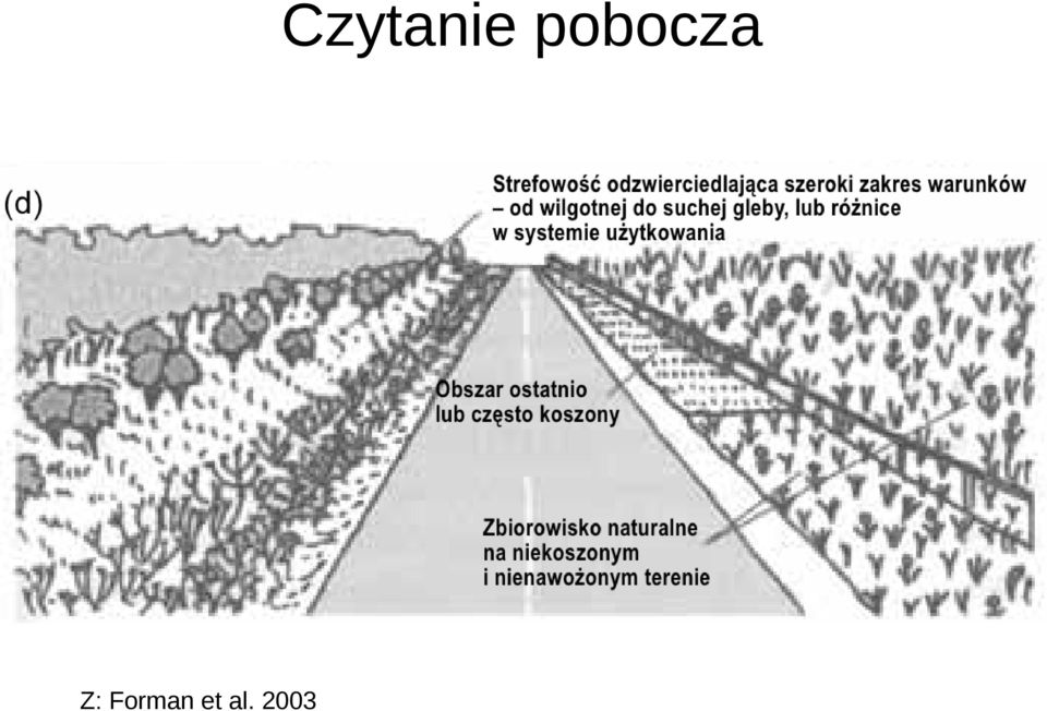 Z: Forman