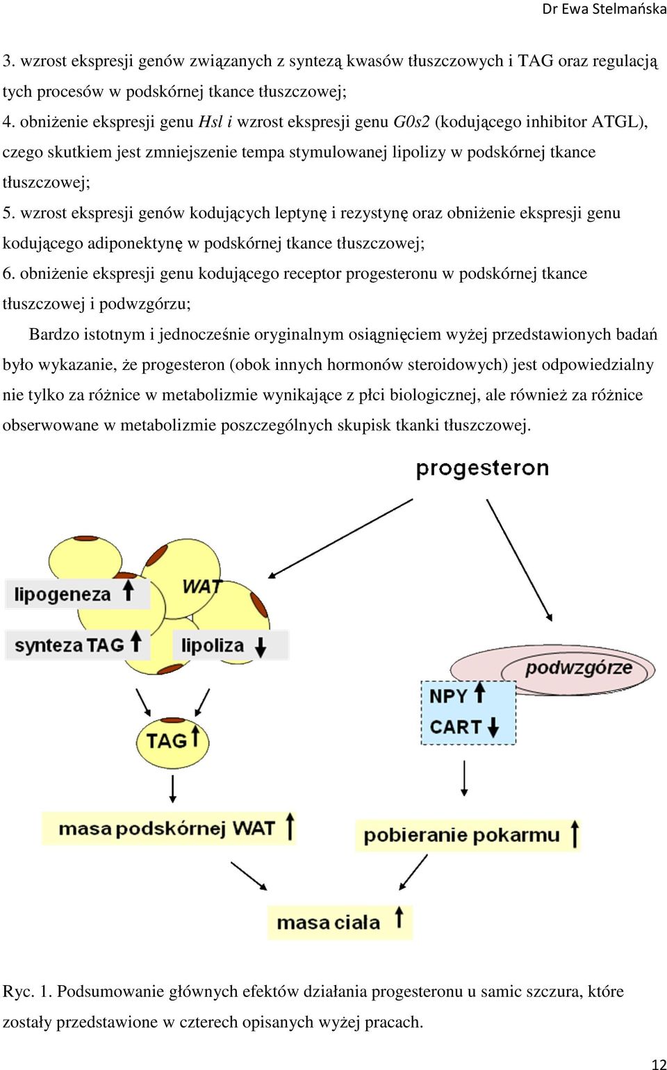 wzrost ekspresji genów kodujących leptynę i rezystynę oraz obniżenie ekspresji genu kodującego adiponektynę w podskórnej tkance tłuszczowej; 6.