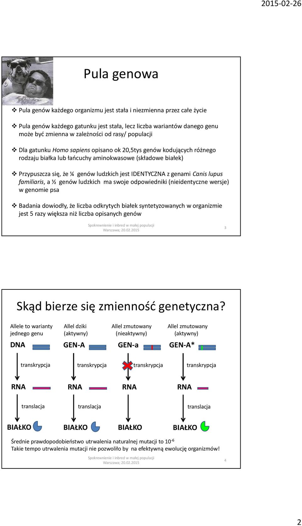 (nieientyczne ersje) genomie ps ni oioły, że licz okrytych iłek syntetyzonych orgnizmie jest 5 rzy iększ niż licz opisnych genó 3 Ską ierze się zmienność genetyczn?