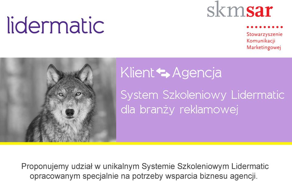 Systemie Szkoleniowym Lidermatic