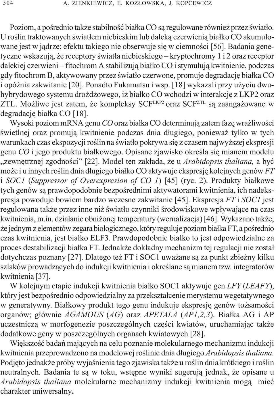 Badania genetyczne wskazuj¹, e receptory œwiat³a niebieskiego kryptochromy 1 i 2 oraz receptor dalekiej czerwieni fitochrom A stabilizuj¹ bia³ko CO i stymuluj¹ kwitnienie, podczas gdy fitochrom B,